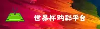 使用指南与常见问题